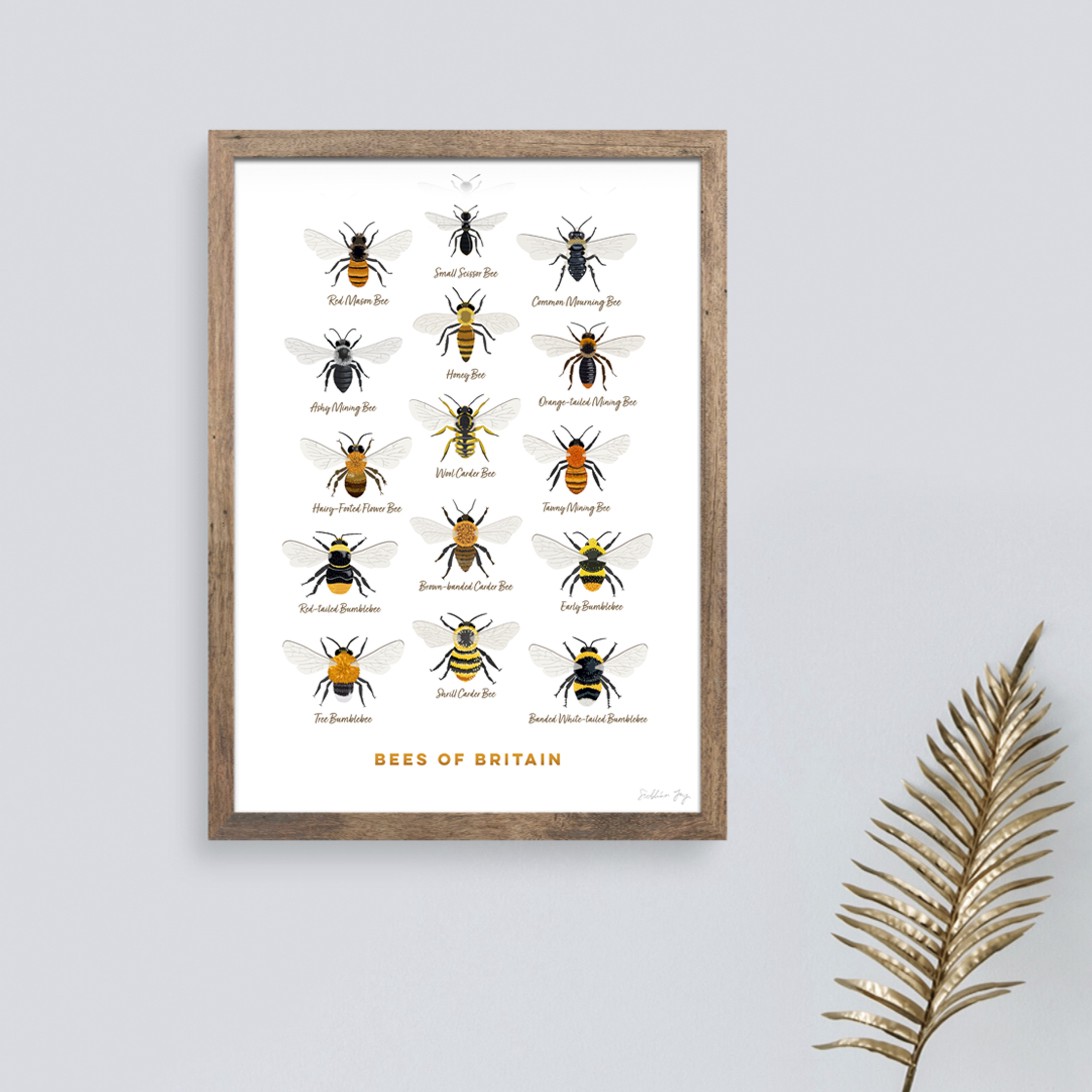 Bees of Britain - Print
