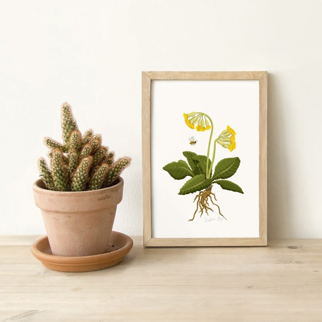Cowslip and Bee - Print