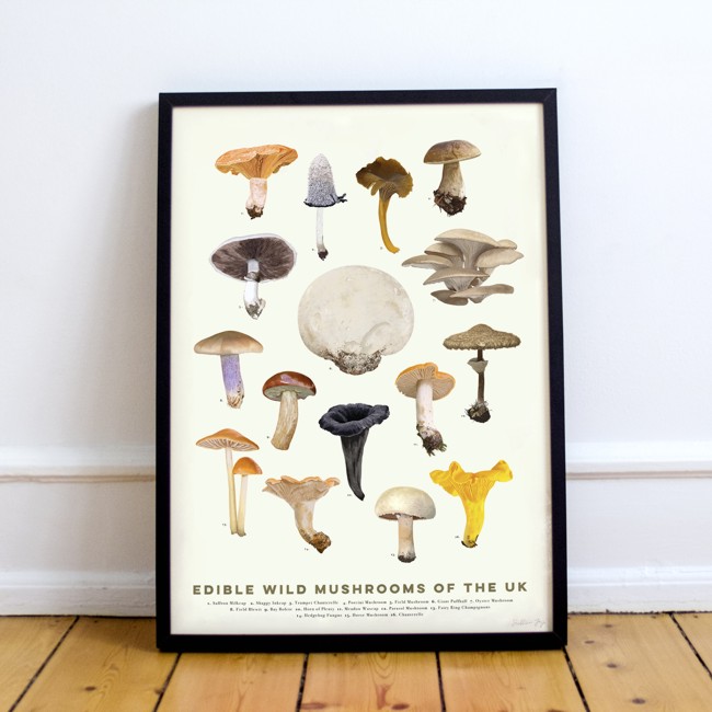 Edible Mushrooms - Print