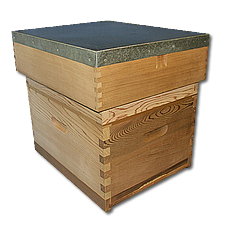 Langstroth Hive