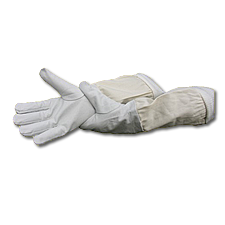 Nappa Leather Gloves