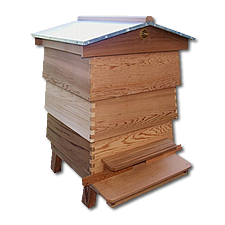 WBC Hive - Flat Pack